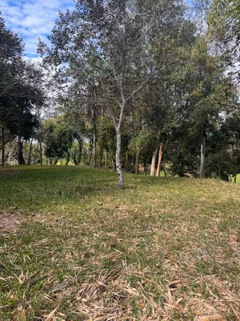 Terreno de 2.504,32 m² en venta en Candire, Urubó: foto 4 de 6
