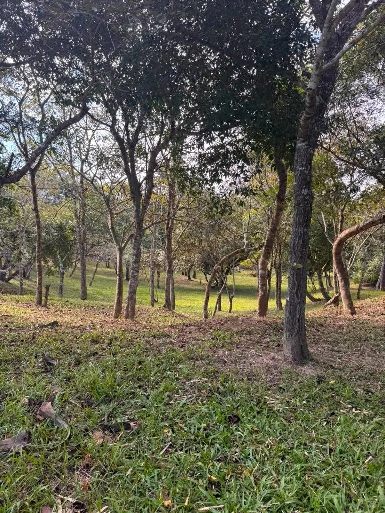 Terreno de 2.504,32 m² en venta en Candire, Urubó: foto 5 de 6