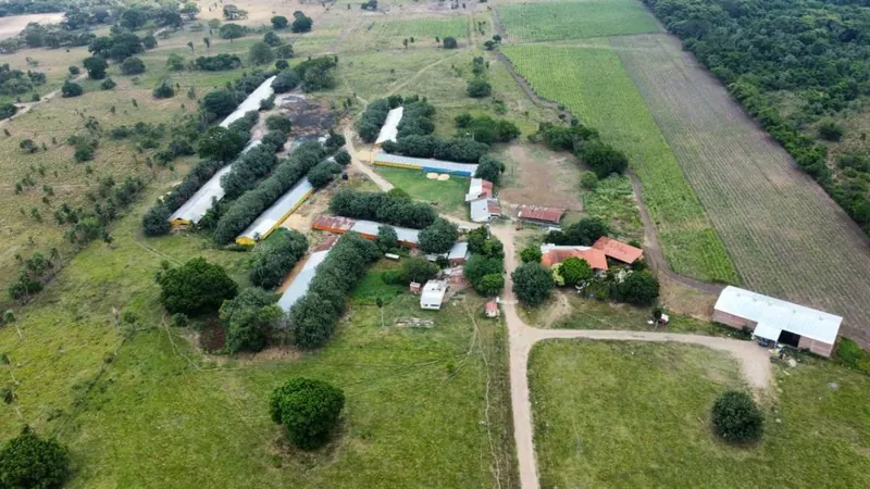 Poultry and cattle property for sale between Warnes and Montero: foto 1 de 1