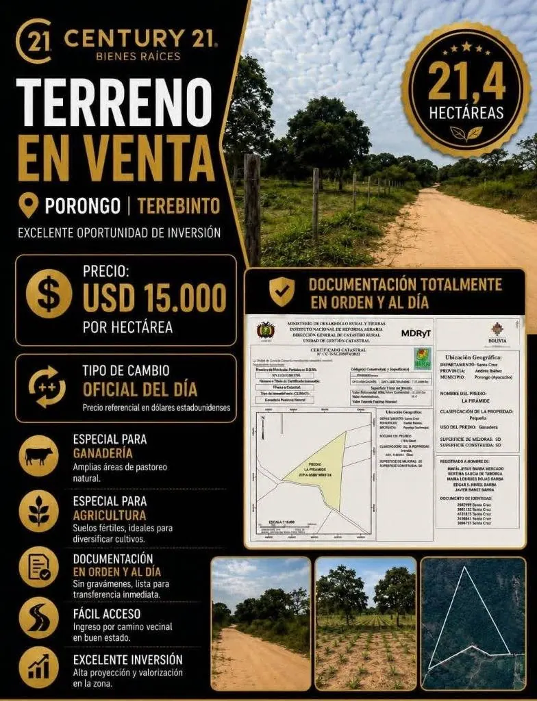 Terreno productivo de 21 hectáreas en venta en Terebinto, Porongo: foto 2 de 4