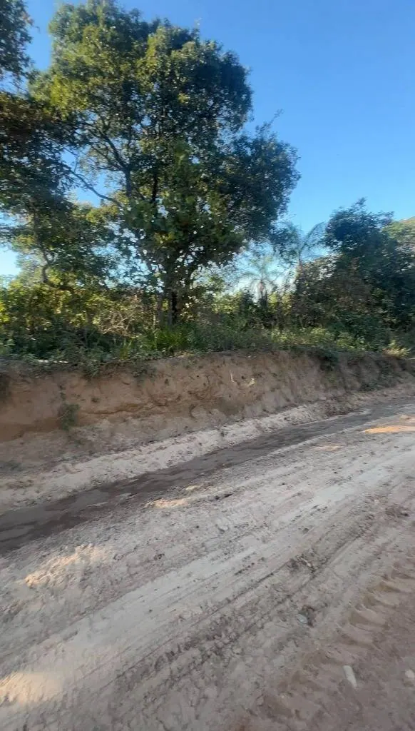 Terreno productivo de 21 hectáreas en venta en Terebinto, Porongo: foto 1 de 4