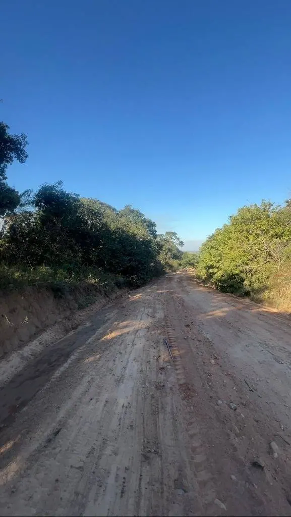 Terreno productivo de 21 hectáreas en venta en Terebinto, Porongo: foto 3 de 4