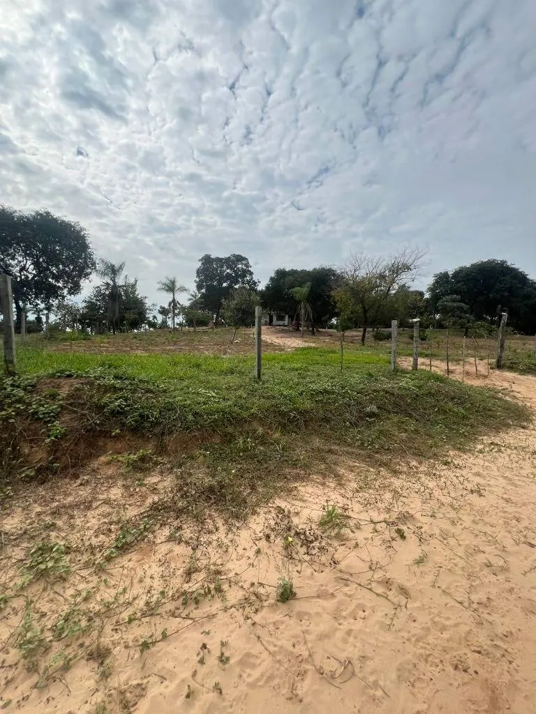 Terreno de 30,40 hectáreas en venta en Terebinto, Porongo: foto 1 de 9