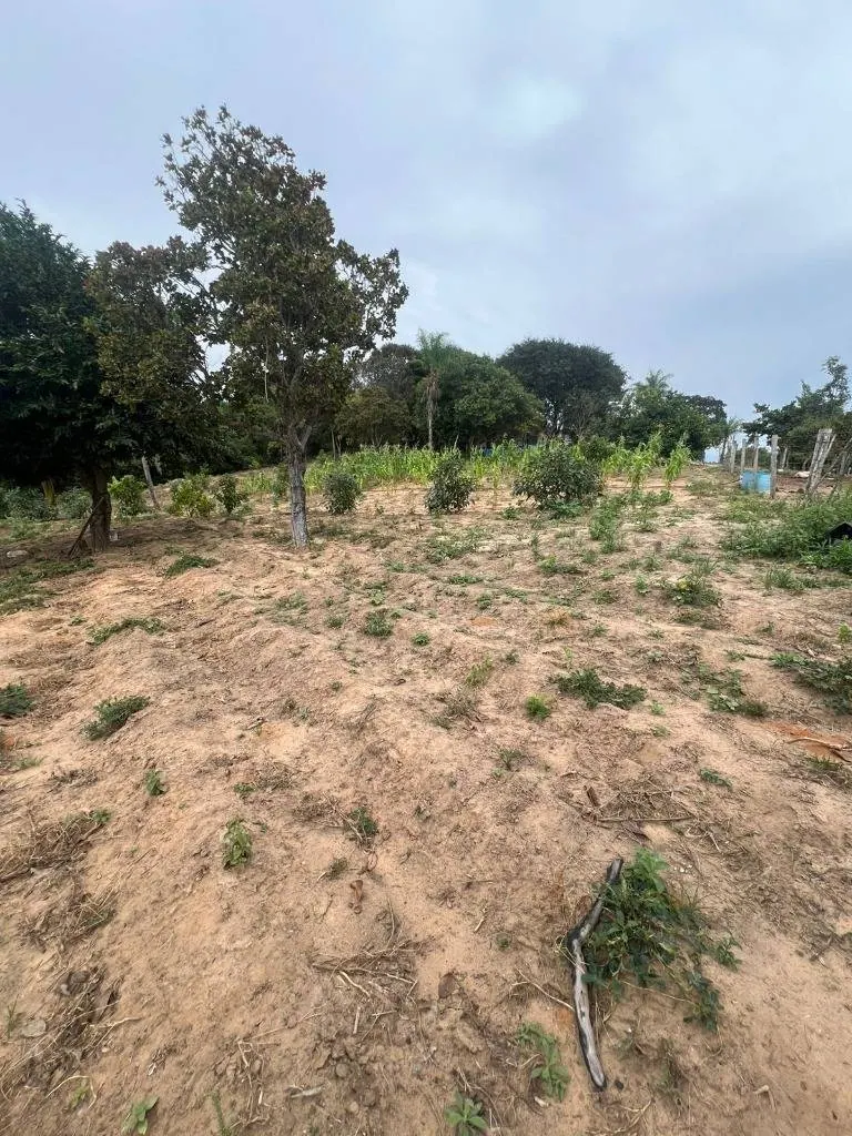 Terreno de 30,40 hectáreas en venta en Terebinto, Porongo: foto 3 de 9