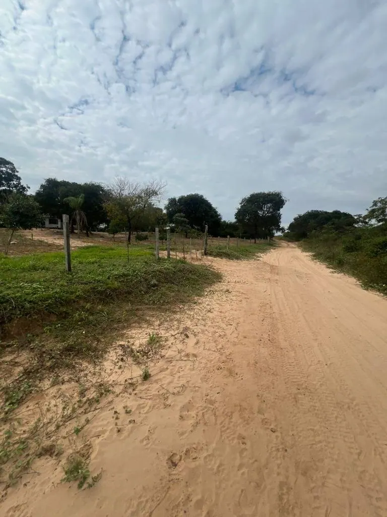 Terreno de 30,40 hectáreas en venta en Terebinto, Porongo: foto 4 de 9