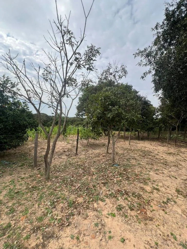 Terreno de 30,40 hectáreas en venta en Terebinto, Porongo: foto 5 de 9