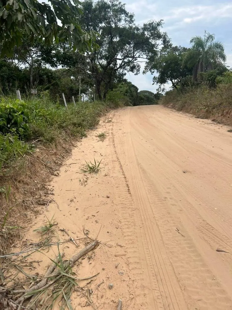 Terreno de 30,40 hectáreas en venta en Terebinto, Porongo: foto 8 de 9