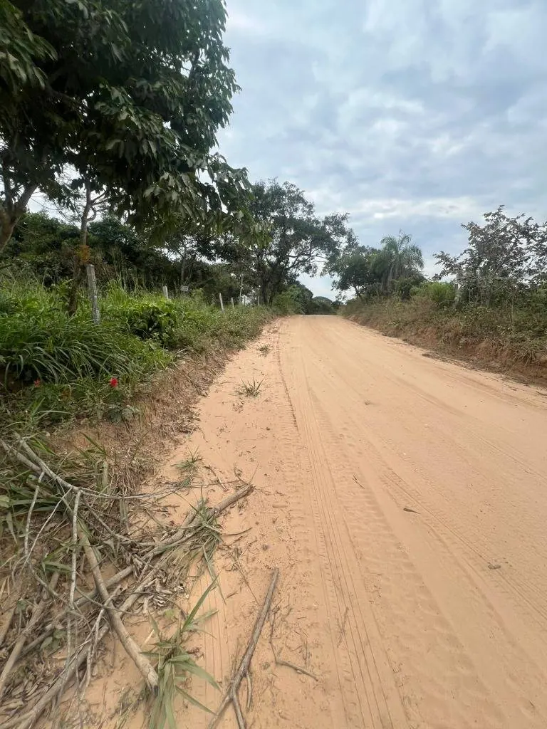Terreno de 30,40 hectáreas en venta en Terebinto, Porongo: foto 9 de 9
