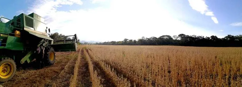 Propiedad agrícola ganadera de 1.943 hectáreas en venta en Charagua: foto 8 de 11