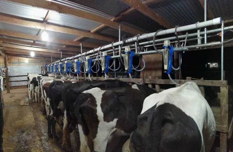 Propiedad agrícola ganadera de 1.943 hectáreas en venta en Charagua: foto 10 de 11