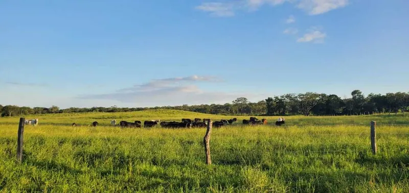 Propiedad agrícola ganadera de 1.943 hectáreas en venta en Charagua: foto 11 de 11