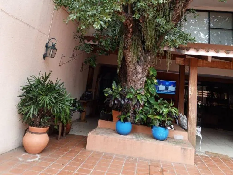 House with commercial spaces and independent apartment for sale: foto 12 de 13