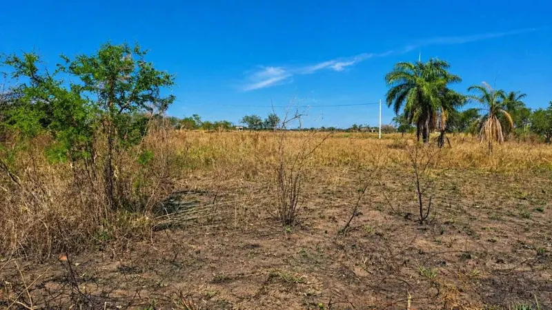 Terreno de 300 m² en venta en Pentaguazu 2, Warnes: foto 1 de 3