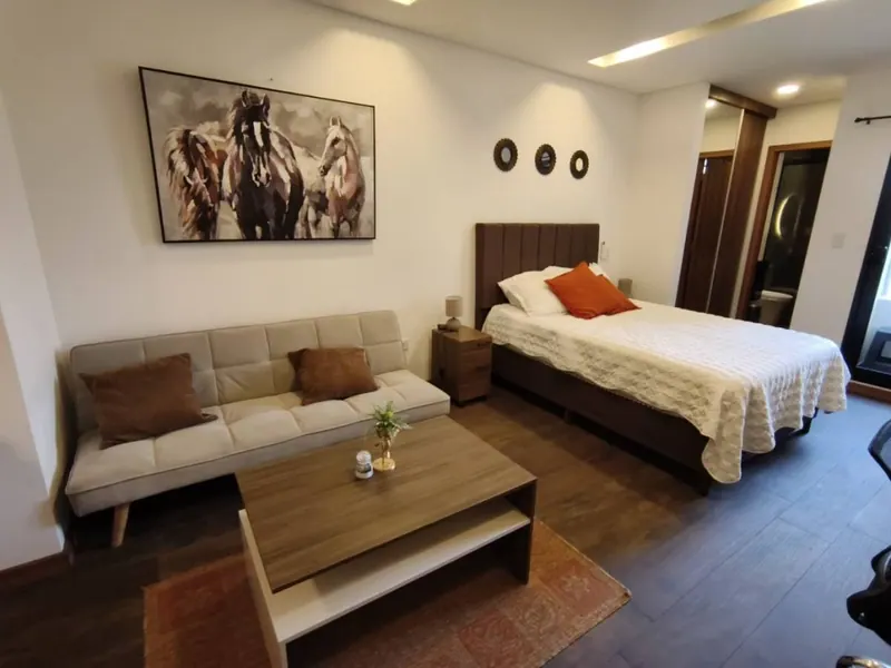 Furnished studio for sale in the Onix Art gated community, Sirari: foto 18 de 21