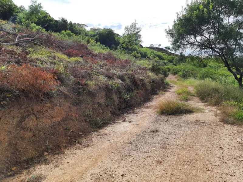 3,914.43 m² lot for sale in Samaipata, with water and electricity: foto 4 de 6