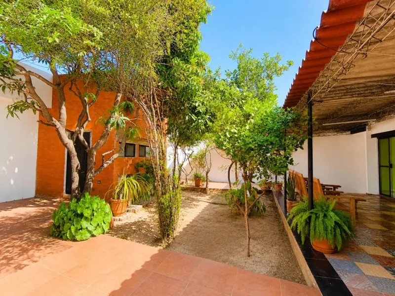 One-story house with independent apartment for sale in the South Zone: foto 11 de 19