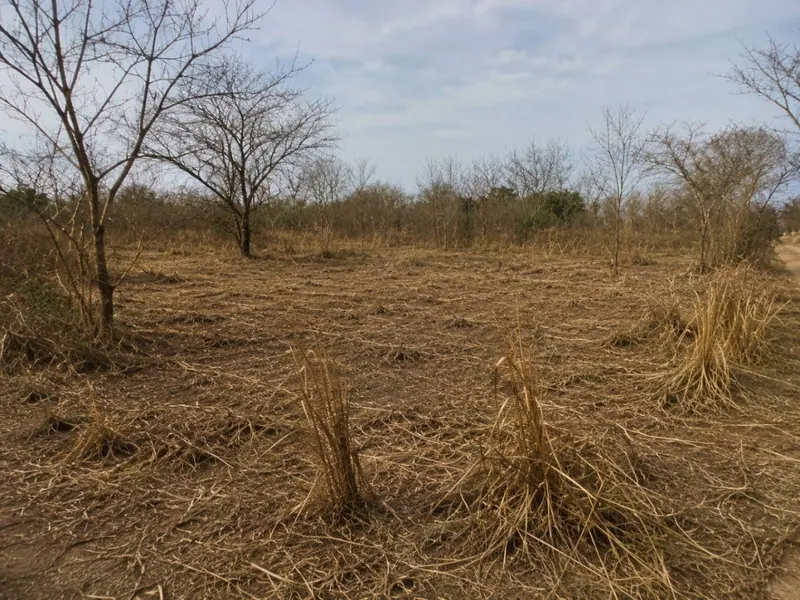 Terreno de 10 hectáreas en venta en Montero Hoyos: foto 3 de 3