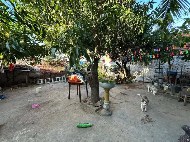 Casa de 5 dormitorios con 2 tiendas en venta en la Av. Nuevo Palmar: foto 11 de 11