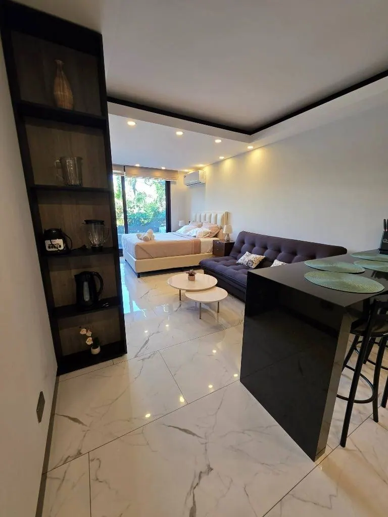 Furnished studio for sale in Sky Luxia, Equipetrol: foto 8 de 9