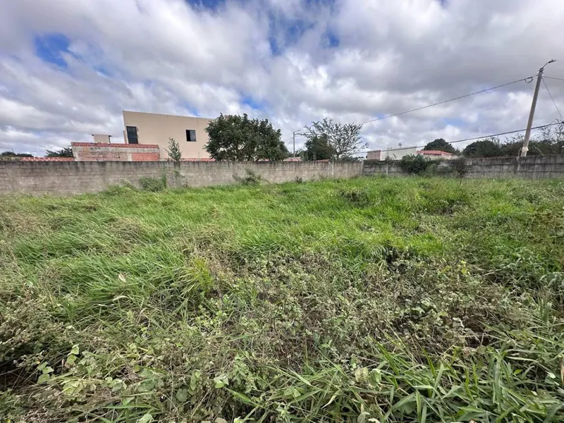 Terreno de 454 m² en venta en Las Palmeritas, sobre avenida