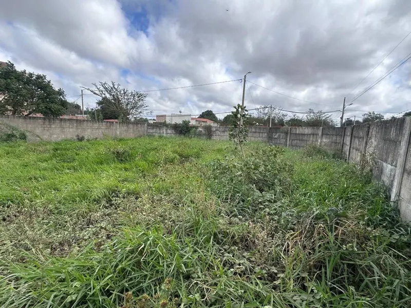 Terreno de 454 m² en venta en Las Palmeritas, sobre avenida: foto 2 de 21