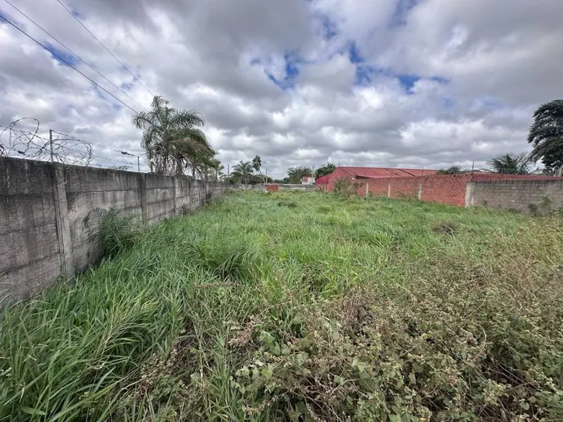 Terreno de 454 m² en venta en Las Palmeritas, sobre avenida: foto 3 de 21