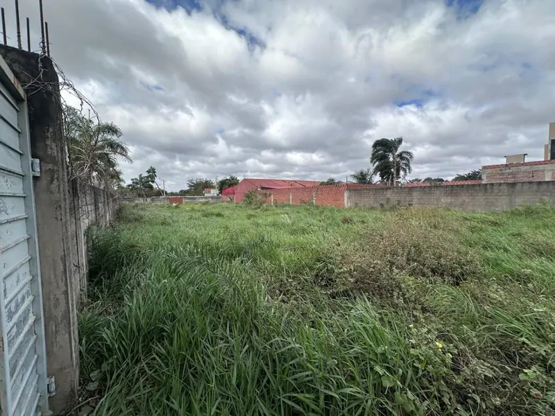 Terreno de 454 m² en venta en Las Palmeritas, sobre avenida: foto 4 de 21