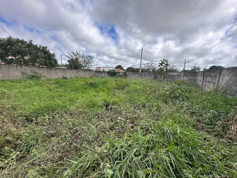 Terreno de 454 m² en venta en Las Palmeritas, sobre avenida: foto 5 de 21