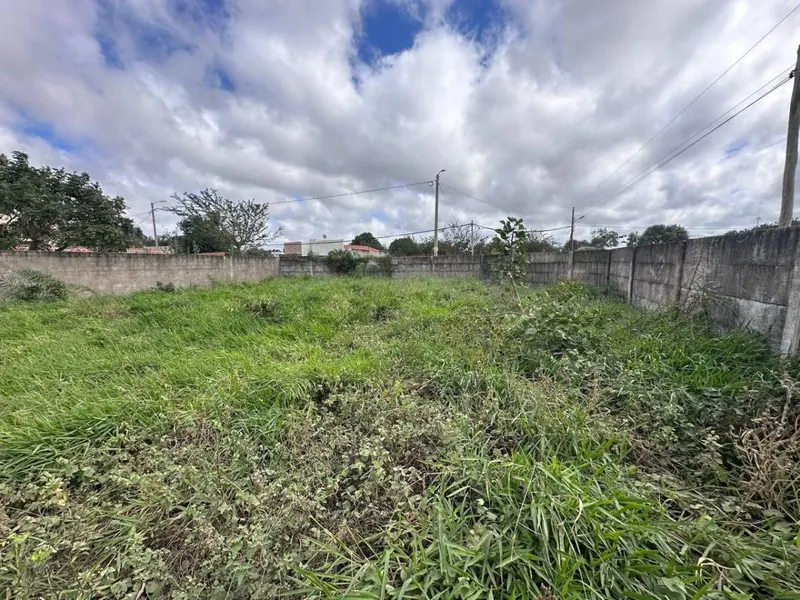 Terreno de 454 m² en venta en Las Palmeritas, sobre avenida: foto 6 de 21