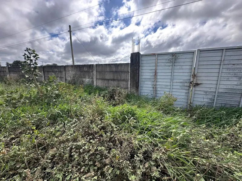 Terreno de 454 m² en venta en Las Palmeritas, sobre avenida: foto 8 de 21