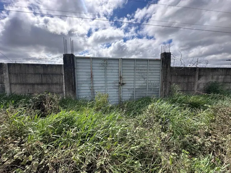 Terreno de 454 m² en venta en Las Palmeritas, sobre avenida: foto 9 de 21