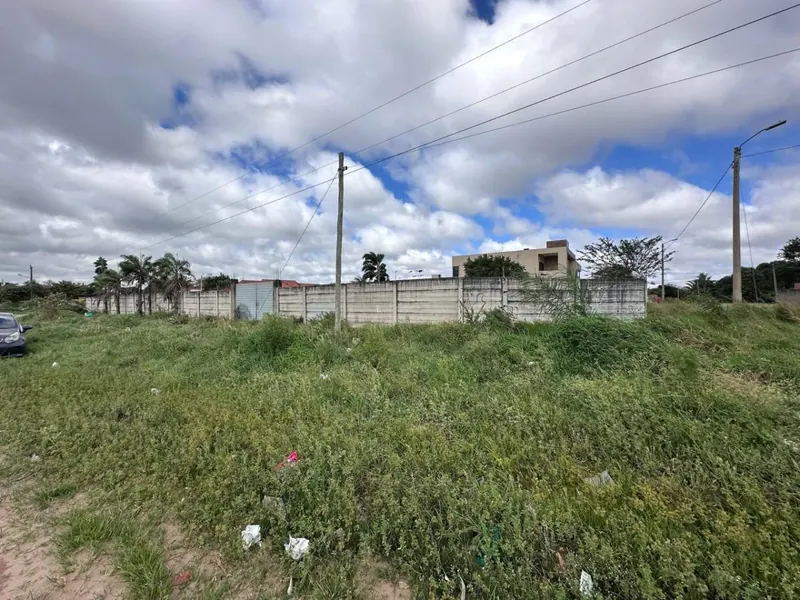 Terreno de 454 m² en venta en Las Palmeritas, sobre avenida: foto 11 de 21