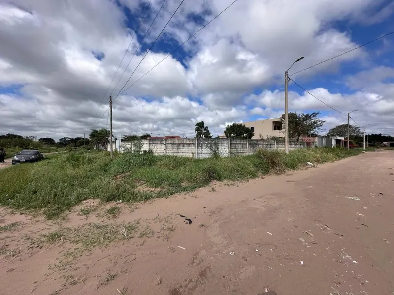 Terreno de 454 m² en venta en Las Palmeritas, sobre avenida: foto 12 de 21