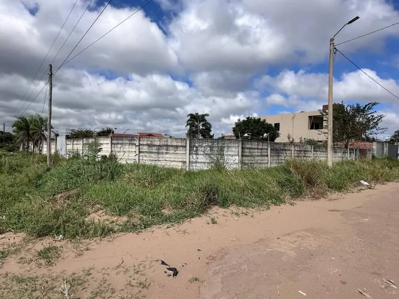 Terreno de 454 m² en venta en Las Palmeritas, sobre avenida: foto 13 de 21