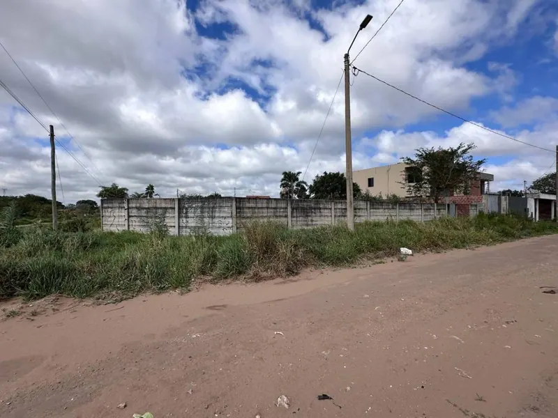 Terreno de 454 m² en venta en Las Palmeritas, sobre avenida: foto 14 de 21