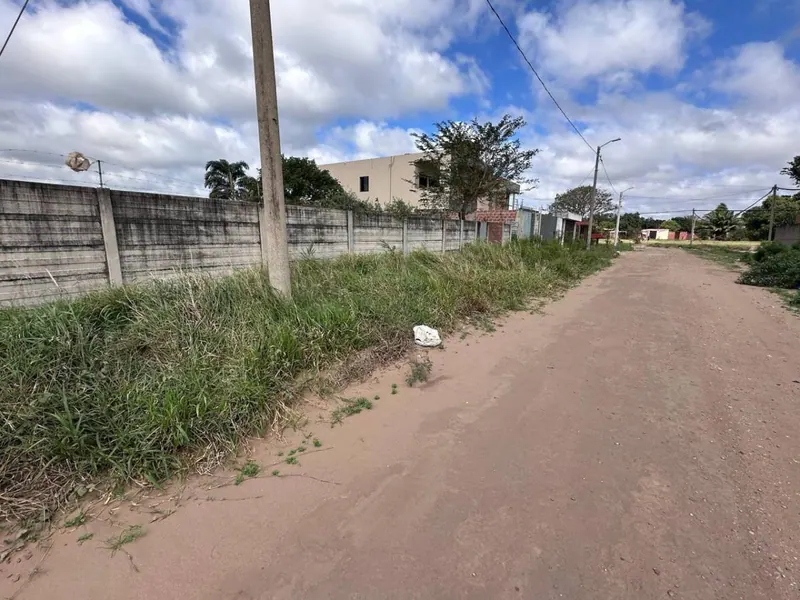 Terreno de 454 m² en venta en Las Palmeritas, sobre avenida: foto 15 de 21