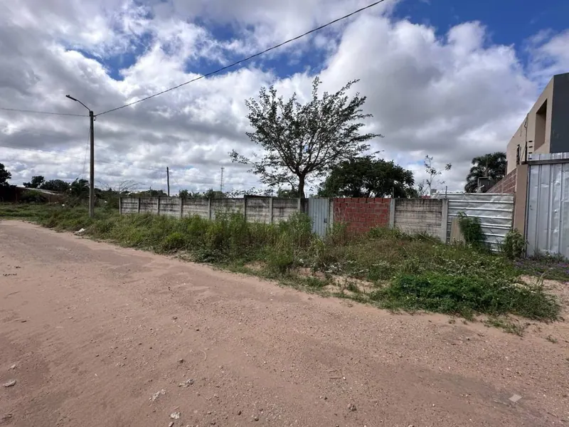 Terreno de 454 m² en venta en Las Palmeritas, sobre avenida: foto 16 de 21