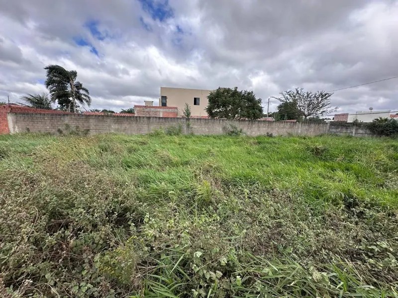 Terreno de 454 m² en venta en Las Palmeritas, sobre avenida: foto 18 de 21