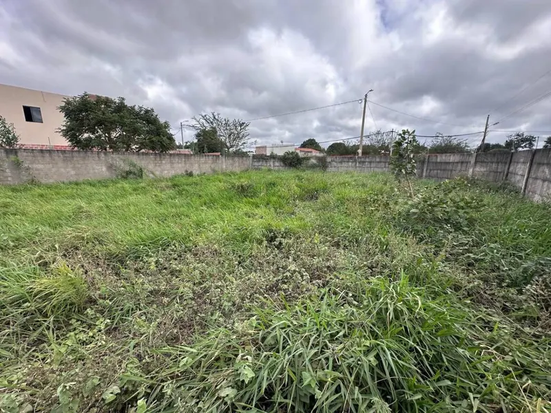 Terreno de 454 m² en venta en Las Palmeritas, sobre avenida: foto 19 de 21