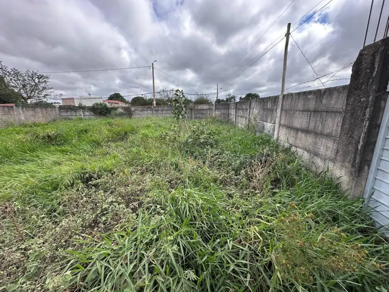 Terreno de 454 m² en venta en Las Palmeritas, sobre avenida: foto 20 de 21