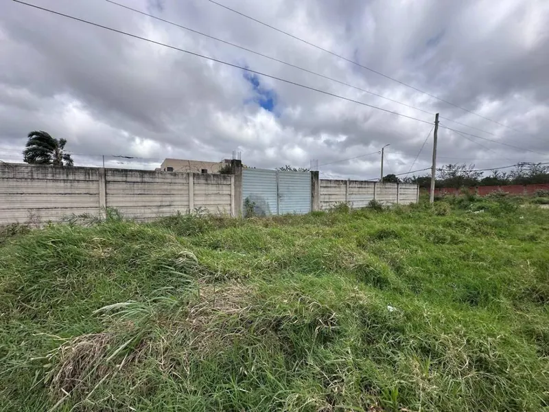 Terreno de 454 m² en venta en Las Palmeritas, sobre avenida: foto 21 de 21
