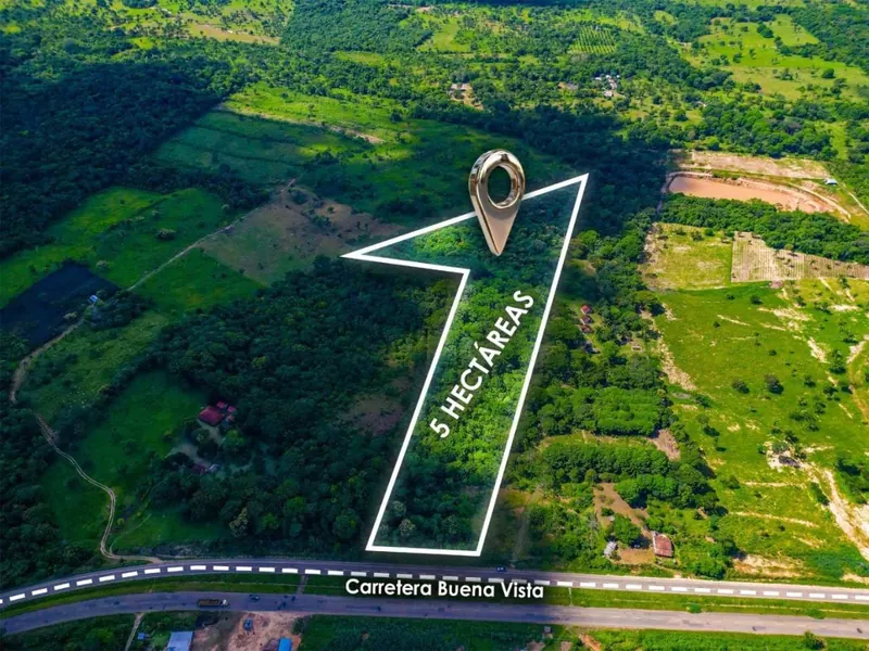 Terreno rural de 5 hectáreas en venta en Buena Vista, sobre carretera: foto 2 de 10