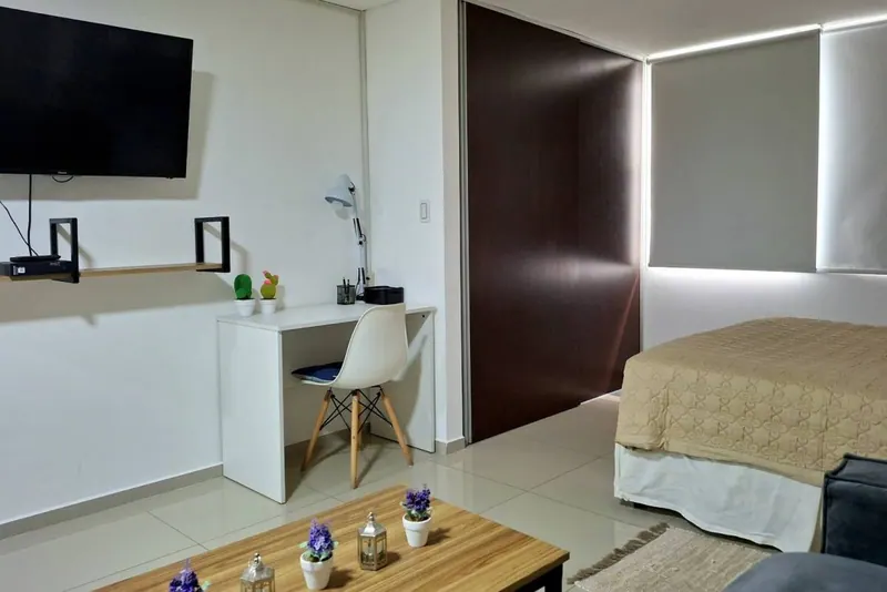 Furnished studio for rent in Torre Baruc 2, Equipetrol: foto 8 de 19