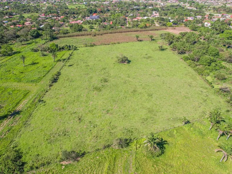Terreno de 7,6 hectáreas en venta sobre avenida en Las Piedades: foto 3 de 14