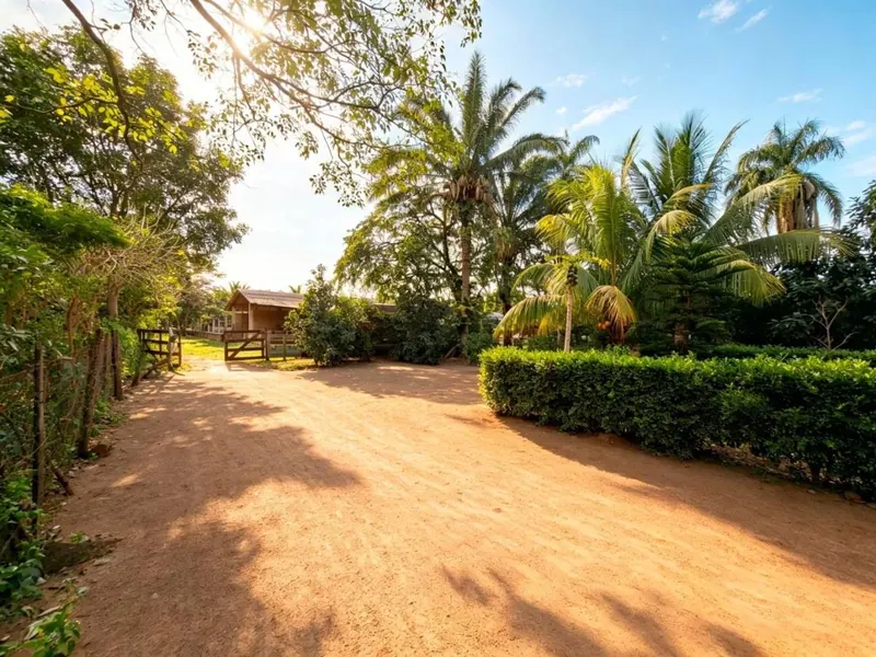 Terreno de 7,6 hectáreas en venta sobre avenida en Las Piedades: foto 4 de 14