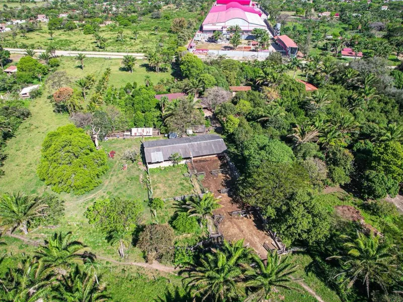 Terreno de 7,6 hectáreas en venta sobre avenida en Las Piedades: foto 12 de 14