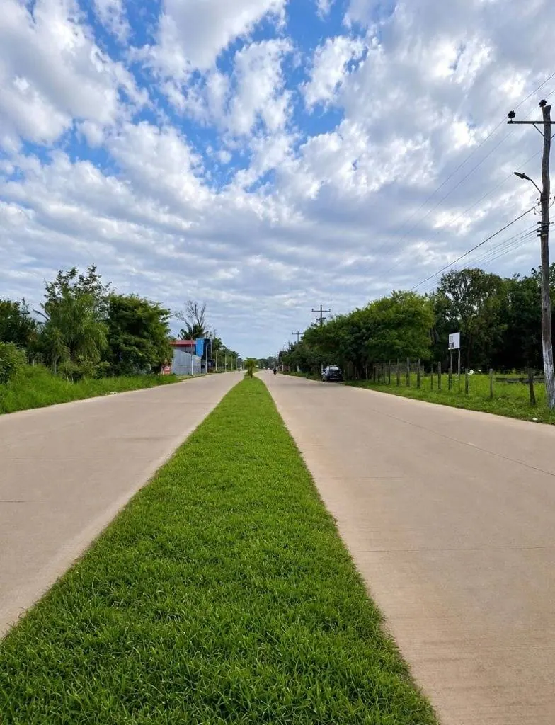 Terreno de 7,6 hectáreas en venta sobre avenida en Las Piedades: foto 14 de 14