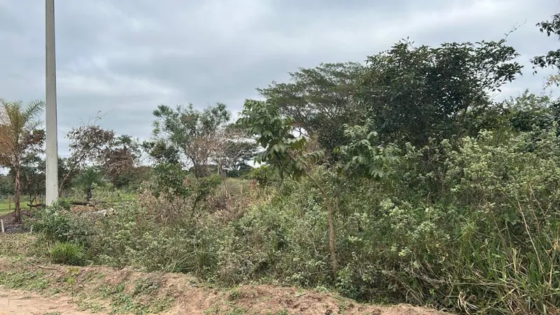 Terrenos de 420 a 616 m² en venta en la Urbanización San Andrés I: foto 13 de 18