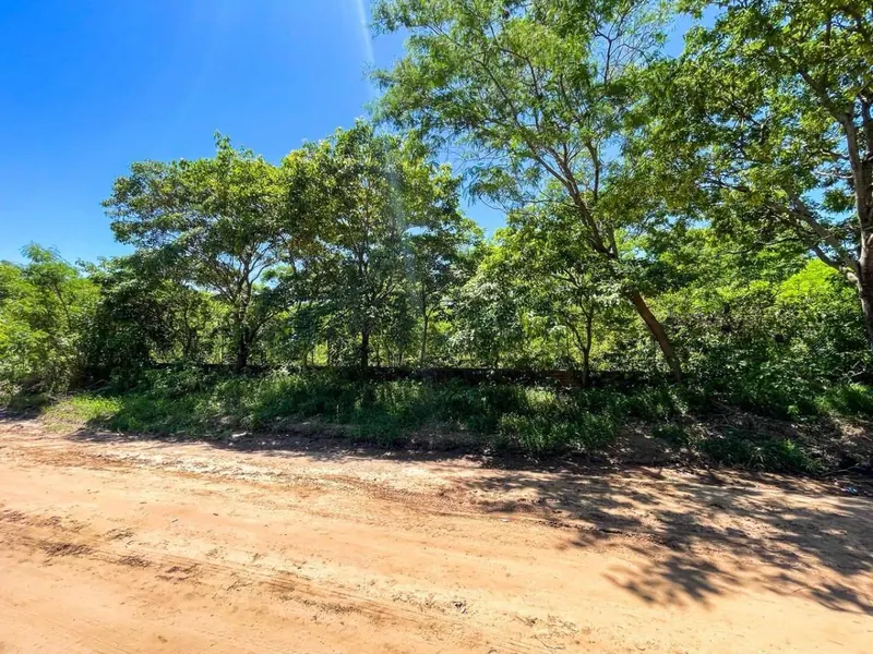 Terreno de 6.597,98 m² en venta en Cotoca, acceso pavimentado: foto 4 de 4