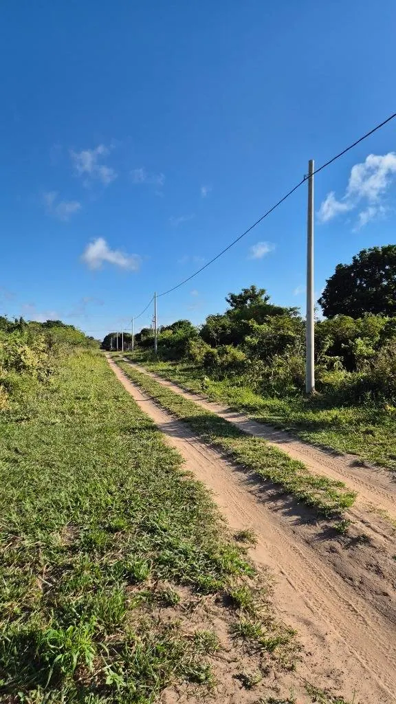 Terreno de 350 m² en venta en la urbanización Mamita de Cotoca: foto 1 de 9